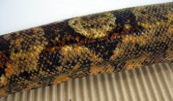 harlotte - Picture taken on 1/16/11 (indoors in a light tent - no flash).